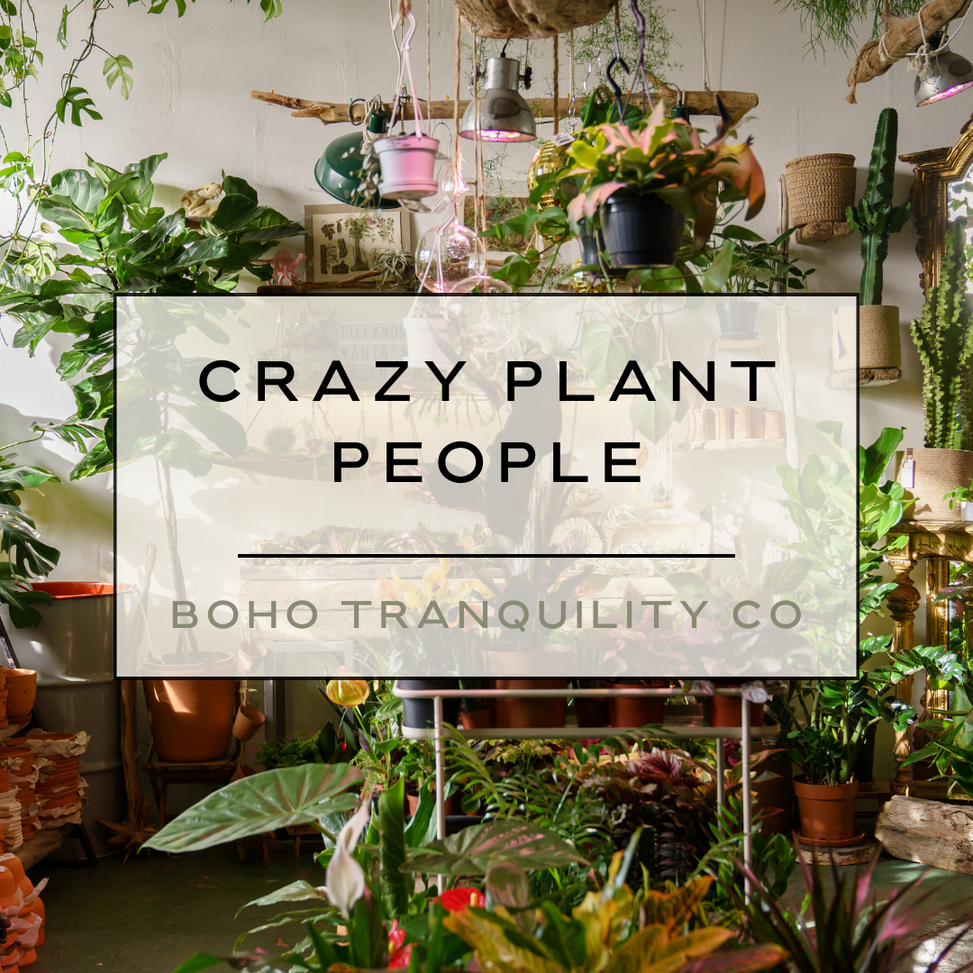 CRAZY PLANT PEOPLE