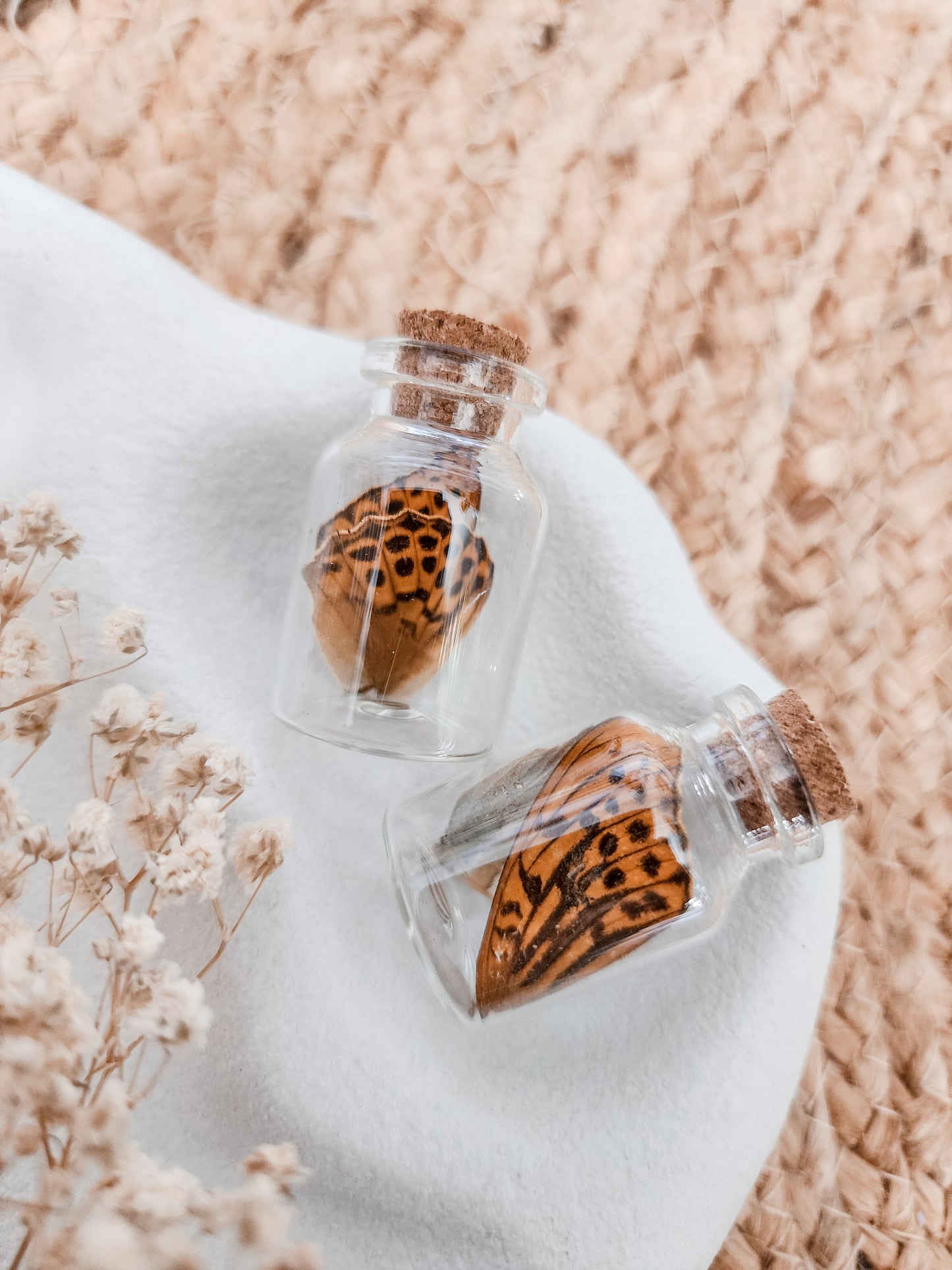 BUTTERFLY WINGS BOTTLE (SMALL)