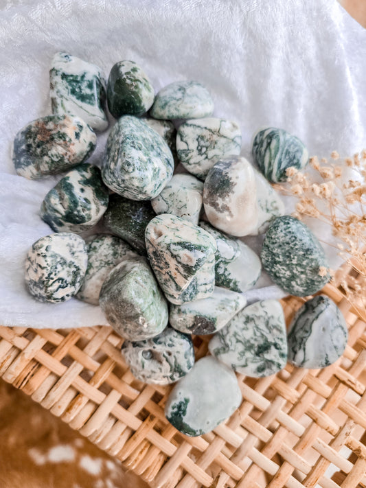 MOSS AGATE TUMBLED STONES - XL