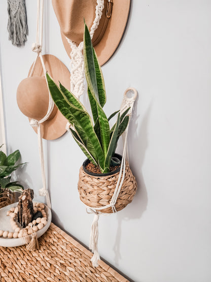 Woven Hanging Planter